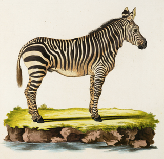 Illustration for article titled Six Impressive Creature Commuters